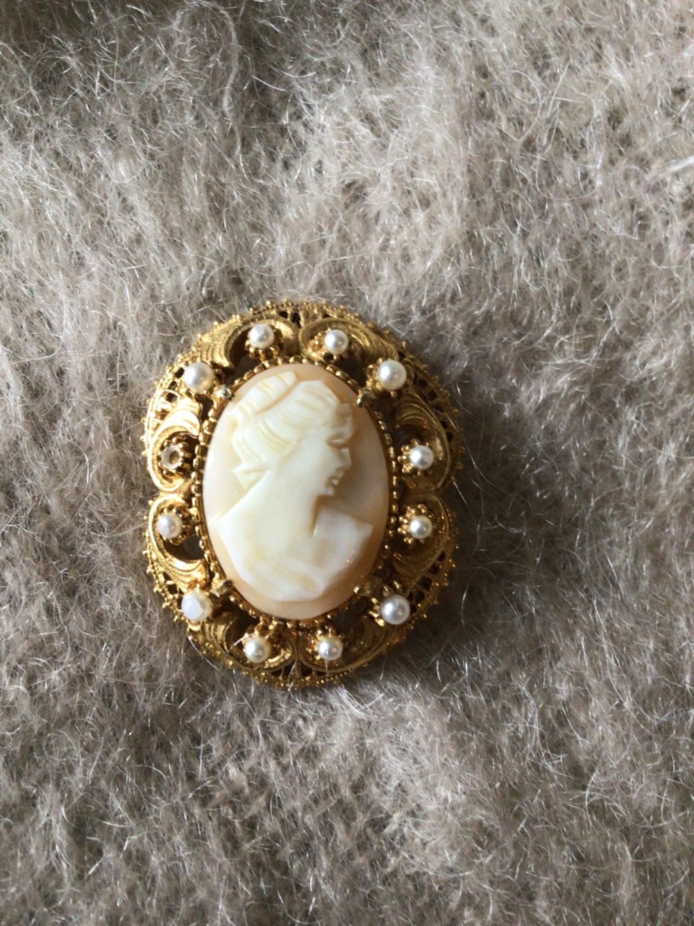 cameo brooch/ pendant